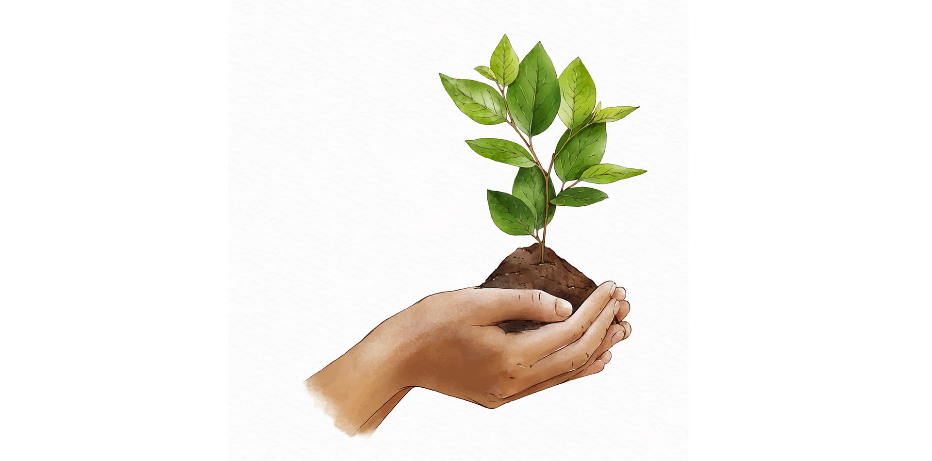 La biodiversité au Qatar - Conférence
