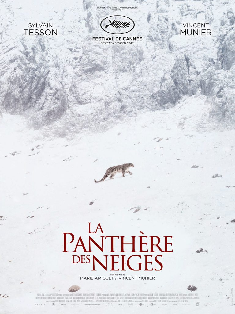 Projection du film « La Panthère des neiges »